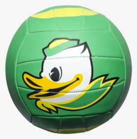 Custom Status Xcel Camp Volleyball - Futebol De Salão, HD Png Download, Transparent PNG