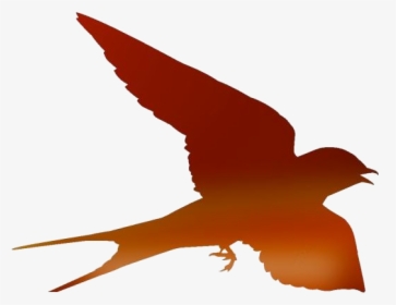 Transparent Flying Bird Png - Silhouette Swallow Bird Png, Png Download, Transparent PNG