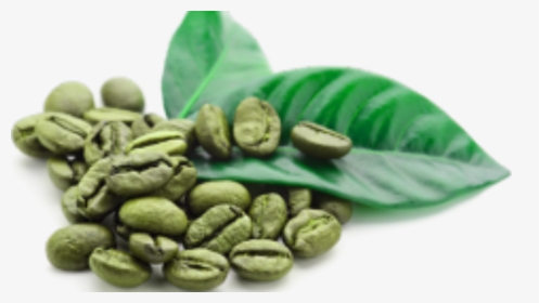 Green Coffee Beans Png, Transparent Png, Transparent PNG