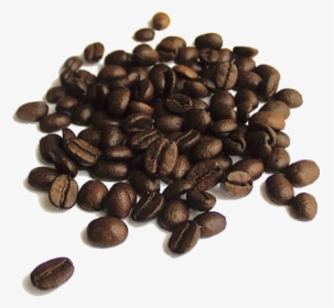 Coffee Beans Png Free Download - Quality Of Coffee Beans, Transparent Png, Transparent PNG
