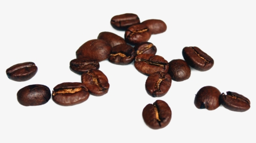 Coffee Beans Coffee Beans Free Photo - Coffee Bean High Resolution, HD Png Download, Transparent PNG