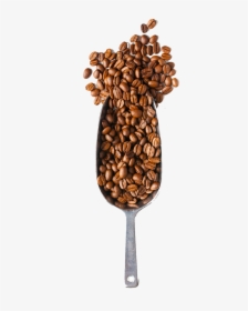 Coffee Beans And Spoon Png , Png Download - Coffee Beans Spoon Png, Transparent Png, Transparent PNG