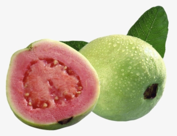 #guava #fruit #food - Guava Fruits, HD Png Download, Transparent PNG