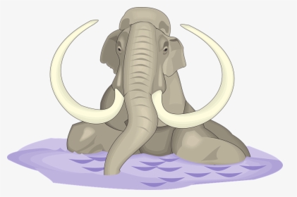 Water, Elephant, Animal, Ancient, Tusks - Elephant Tusk Png, Transparent Png, Transparent PNG