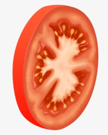 Tomato Png Clip Art - Tomato Circle, Transparent Png, Transparent PNG
