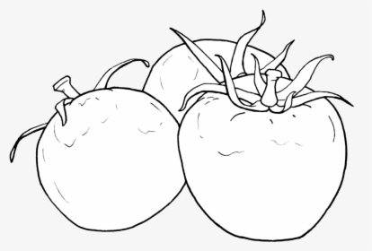 Tomato - Tomato Line Drawing Png, Transparent Png, Transparent PNG