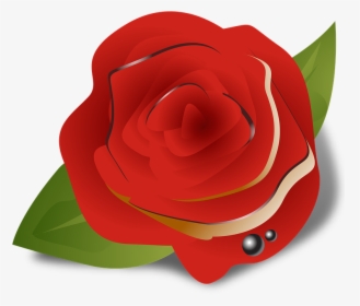 Flower, Rose, Red, Ghulab, Colour - Garden Roses, HD Png Download, Transparent PNG