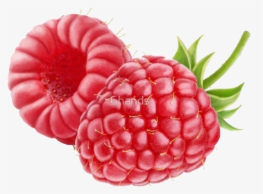 #rasberry #red #colour #fruit #art #stickers #clipart - Raspberry Blackberry, HD Png Download, Transparent PNG