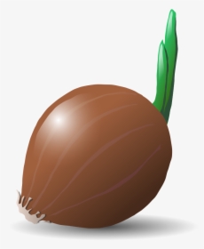 Onion - Vegetable Clip Art, HD Png Download, Transparent PNG