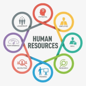 Human Resources Department Logo, HD Png Download, Transparent PNG