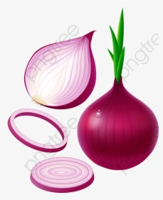 Purple Onion - Củ Hành Mọc Mầm, HD Png Download, Transparent PNG