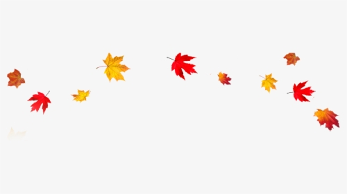 Best Background Clipart - Falling Leaves Transparent Background, HD Png Download, Transparent PNG