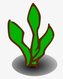 Transparent Bush Png - Clip Art Of Kelp, Png Download, Transparent PNG