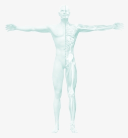 Orthopedic Conditions - Male, HD Png Download, Transparent PNG