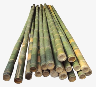 Bamboo Pole Vault Poles, HD Png Download, Transparent PNG