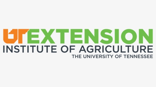 University Of Tennessee Extension, HD Png Download, Transparent PNG