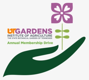 Ut Gardens Membership Drive Logo - Graphic Design, HD Png Download, Transparent PNG
