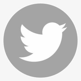 Transparent Background Twitter And Instagram Logo, HD Png Download, Transparent PNG