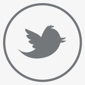 Twitter Logo Png Hd, Transparent Png, Transparent PNG