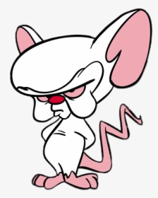 Pinky And The Brain Transparent, HD Png Download, Transparent PNG