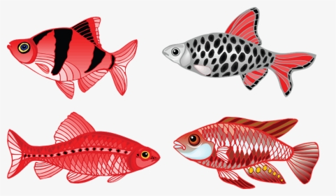 Fish, Aquarium, Fin, Fresh Water, Swim - Tongue Twisters Four Fine Fresh Fish For You, HD Png Download, Transparent PNG
