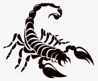 Scorpion Logo, HD Png Download, Transparent PNG