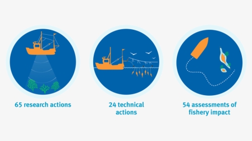 Icon Illustrations Showing Research Actions, Technical - Fishery Manage Icon Png, Transparent Png, Transparent PNG