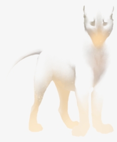 Dog, HD Png Download, Transparent PNG