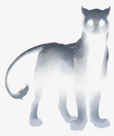 Cat Yawns, HD Png Download, Transparent PNG