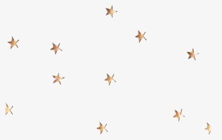 Falling Stars Gif Png - Gold Star Sticker Png, Transparent Png, Transparent PNG