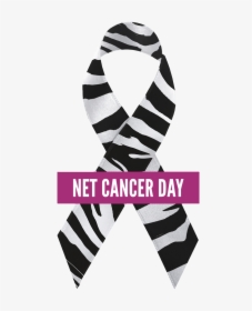 Net Cancer Awareness Day, HD Png Download, Transparent PNG