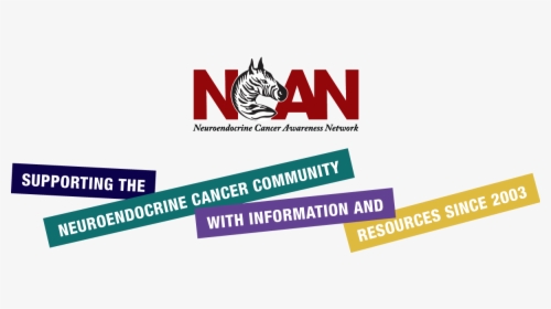 Neuroendocrine Cancer Awareness Network - Illustration, HD Png Download, Transparent PNG
