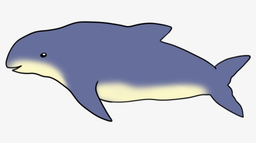 Wholphin, HD Png Download, Transparent PNG