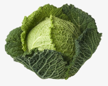 Vegetable Plant Png - Green Cabbage, Transparent Png, Transparent PNG