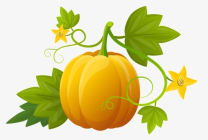 Pumpkin, Illustration, Plants, Vegetable, Leaves - Hoja De Calabaza Png, Transparent Png, Transparent PNG