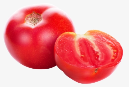 Growing Tomato Plants Png - Tomato, Transparent Png, Transparent PNG