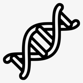 Dna Helix Rna - Double Helix Clipart Dna, HD Png Download, Transparent PNG