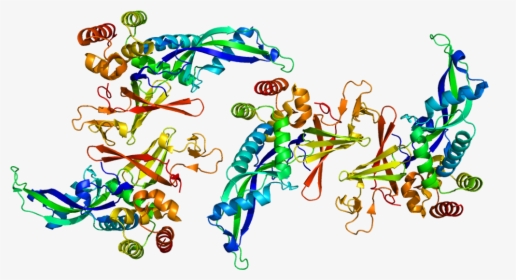 Protein Polr2d Pdb 2c35 - Pol I Subunit D, HD Png Download, Transparent PNG