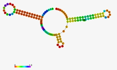 Fantasy Rna - Circle, HD Png Download, Transparent PNG