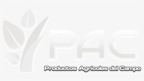 Graphic Design, HD Png Download, Transparent PNG