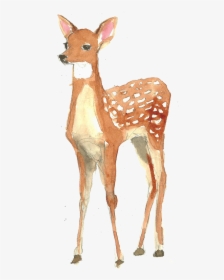 Painting Poster Illustration Deer - Deer Painting Png, Transparent Png, Transparent PNG