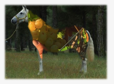 Wine And Cartujano Horse - Caballo Cartujano, HD Png Download, Transparent PNG