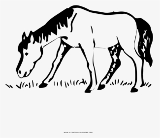 Horse Coloring Page - Mane, HD Png Download, Transparent PNG