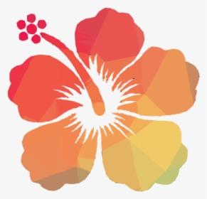 Transparent Hibiscus Clipart - Flor De Cayena Vector, HD Png Download, Transparent PNG