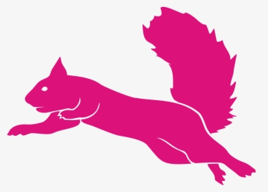 Flying Squirrel Guatemala - Flying Squirrel Trampoline Park Logo, HD Png Download, Transparent PNG
