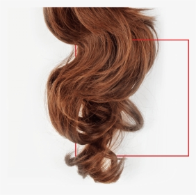 Peluca - Lace Wig, HD Png Download, Transparent PNG