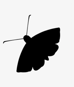 Mission Control Moth Lands, Programs Saved Npr Illinois - Moth Radio Hour Logo, HD Png Download, Transparent PNG