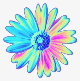 Daisy Holographic Flower Flower Holo Holographic Tumblr - Png Stickers Picsart Png, Transparent Png, Transparent PNG