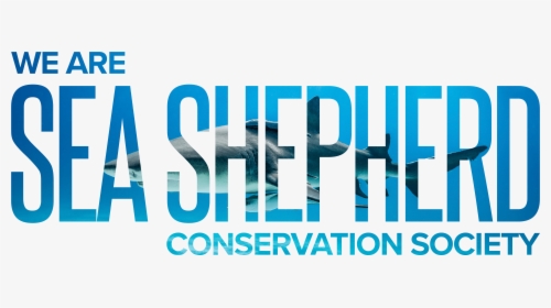Sea Shepherd Text - Graphic Design, HD Png Download, Transparent PNG