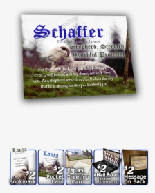Flyer, HD Png Download, Transparent PNG